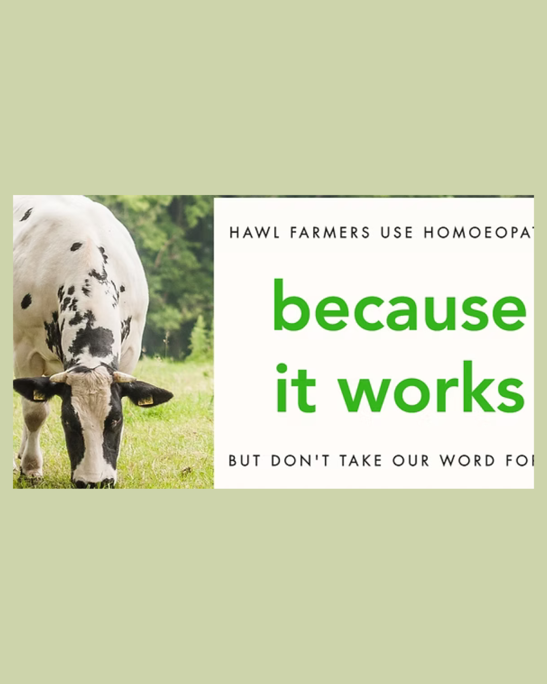Homeopathy for the Prevention of Disease
