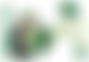 Match RCD vs SC LE RHEU  !