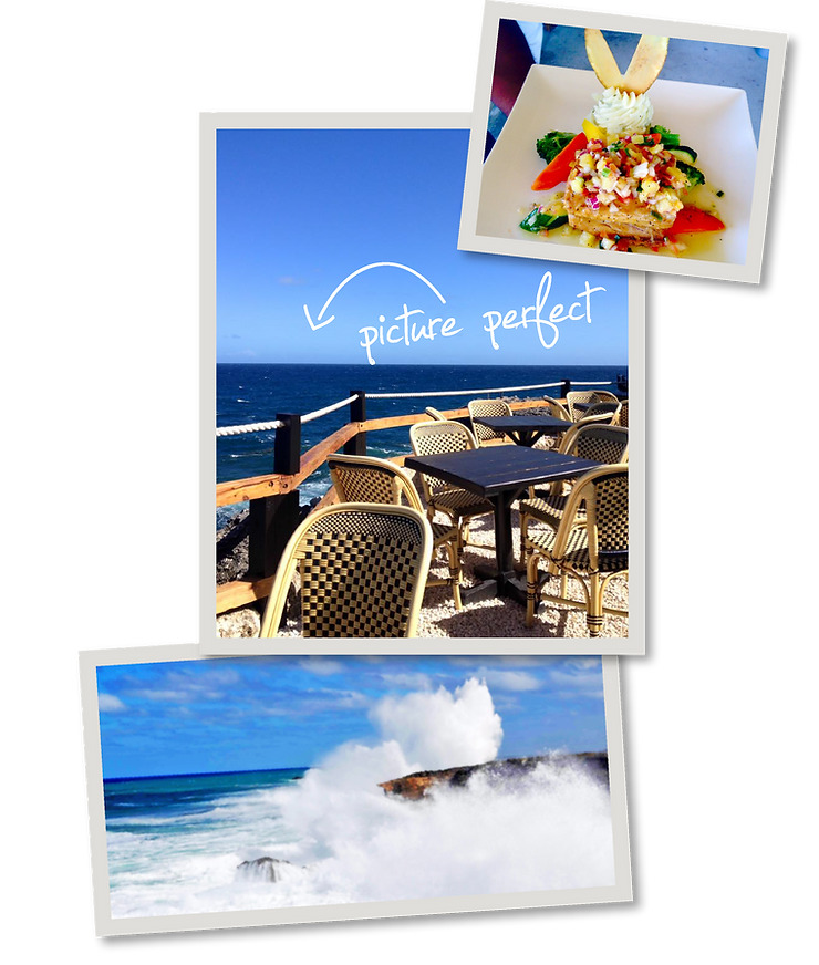 Animal Flower Cave Restaurant - Delicious Bajan Food - Logo by Designers Coast