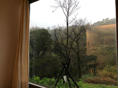 山景軍官豪華雙床_窗景.jpeg