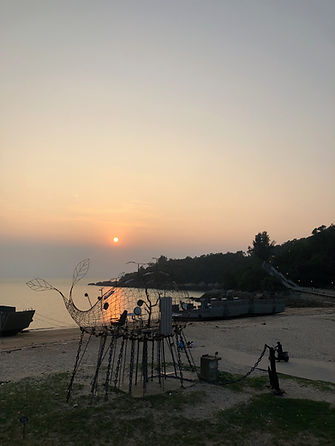 IMG_5096.jpeg