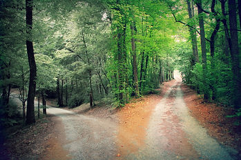 Right Path Cover Photo.jpeg