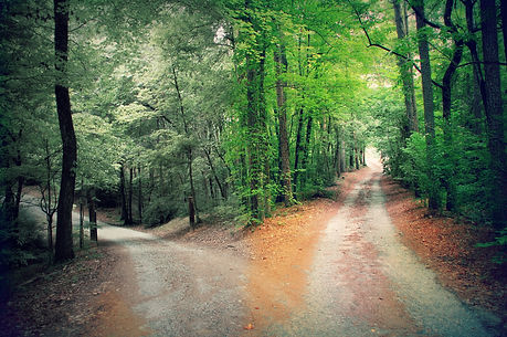 Right Path Cover Photo.jpeg