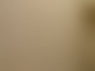 ［江東区有明 マンション］エコカラット、クロス貼り替え施工