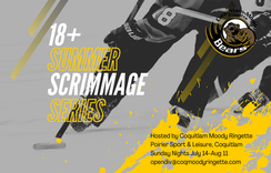 18+ Summer Scrimmage Series