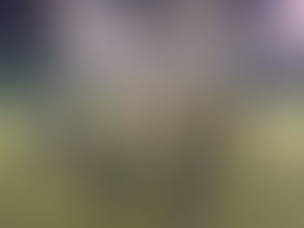 セレクション実施致しました。