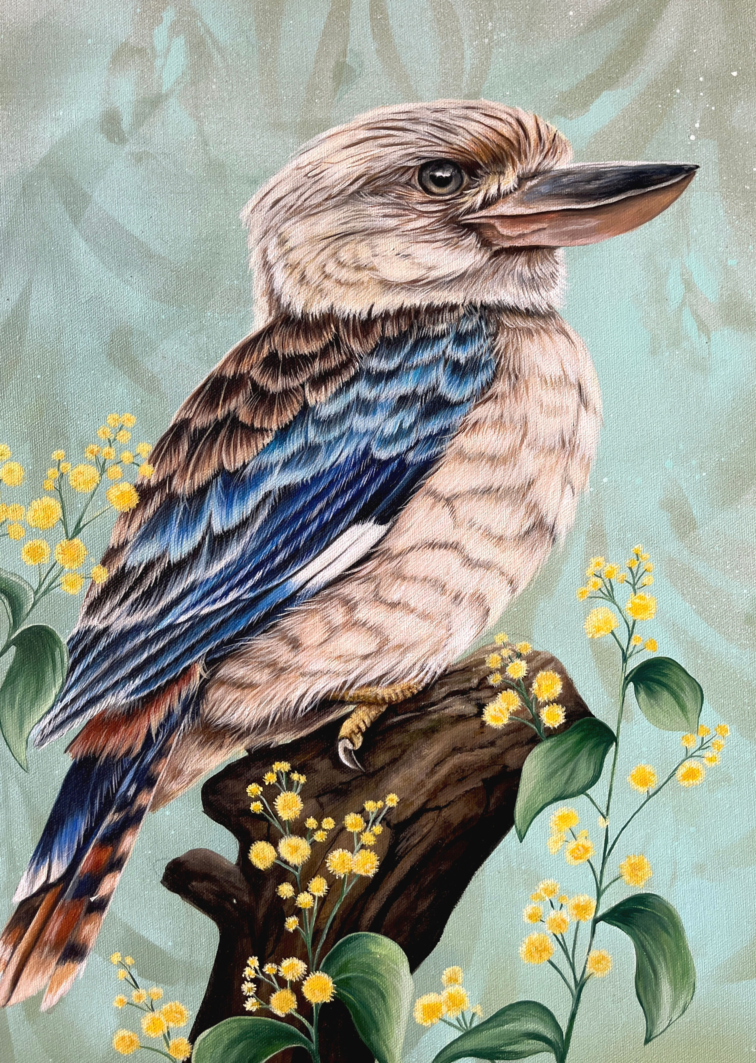 Blue Winged Kookaburra