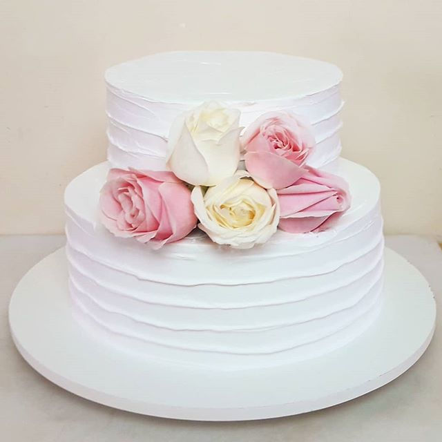 Bom dia amigos, domingo começando com Bo