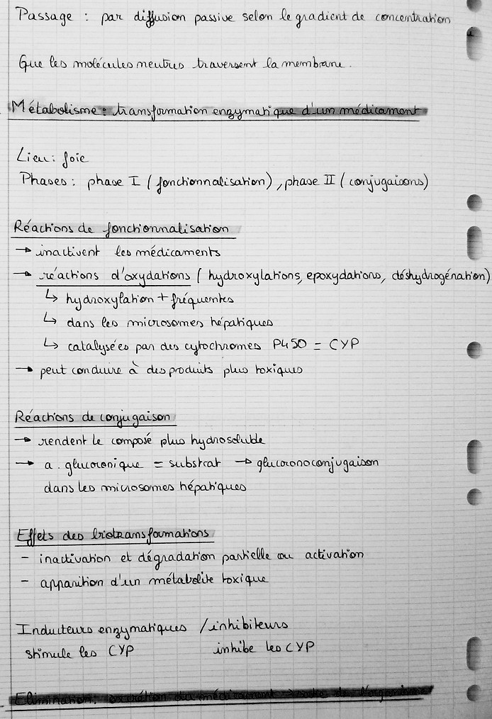 P1060673.JPG