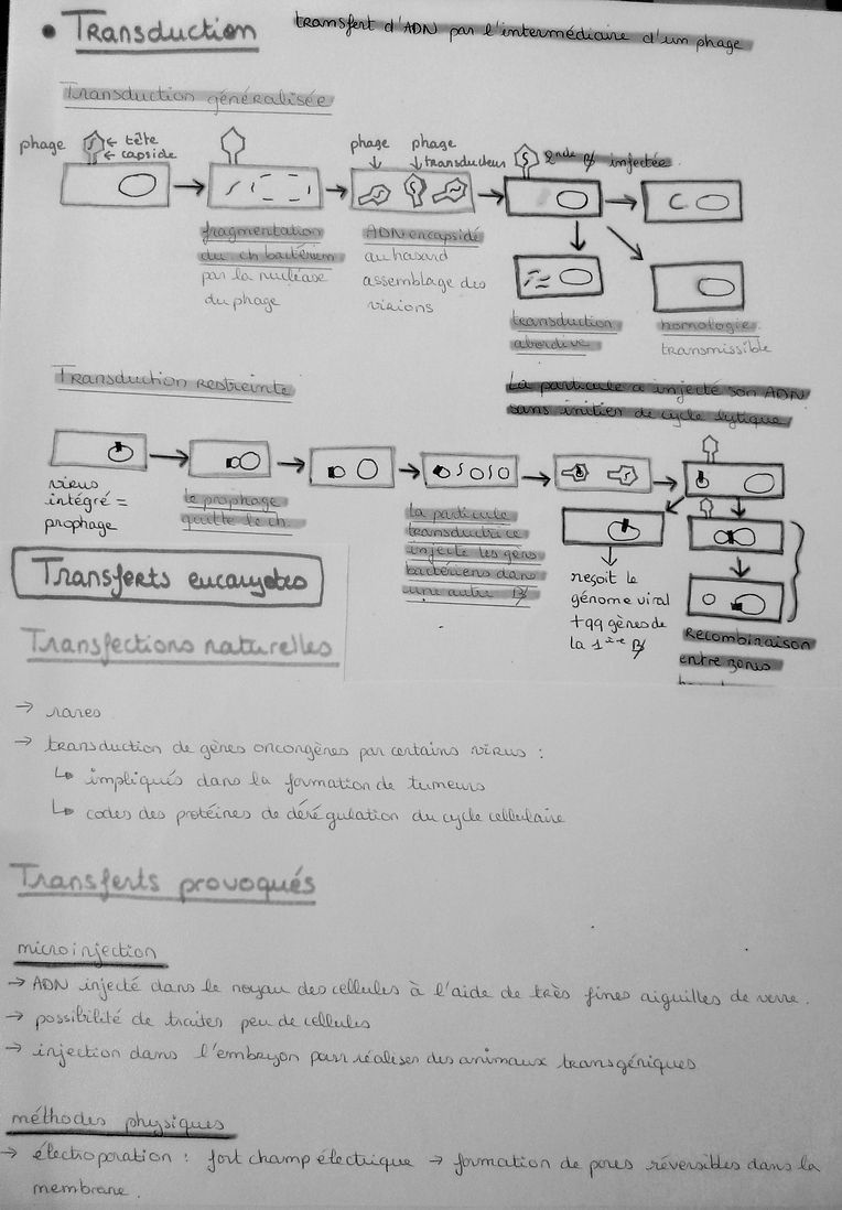 P1060661.JPG