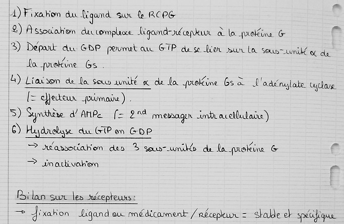 P1060683.JPG
