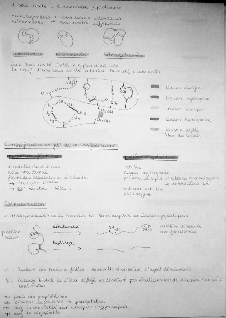 P1060627.JPG