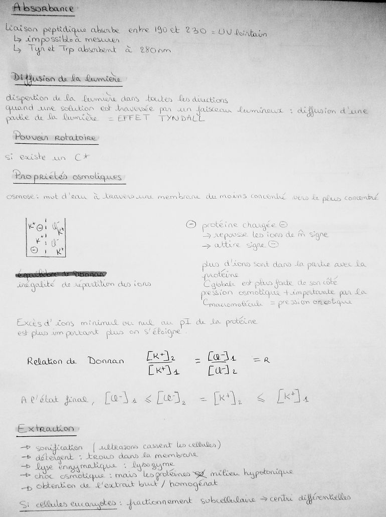 P1060629.JPG