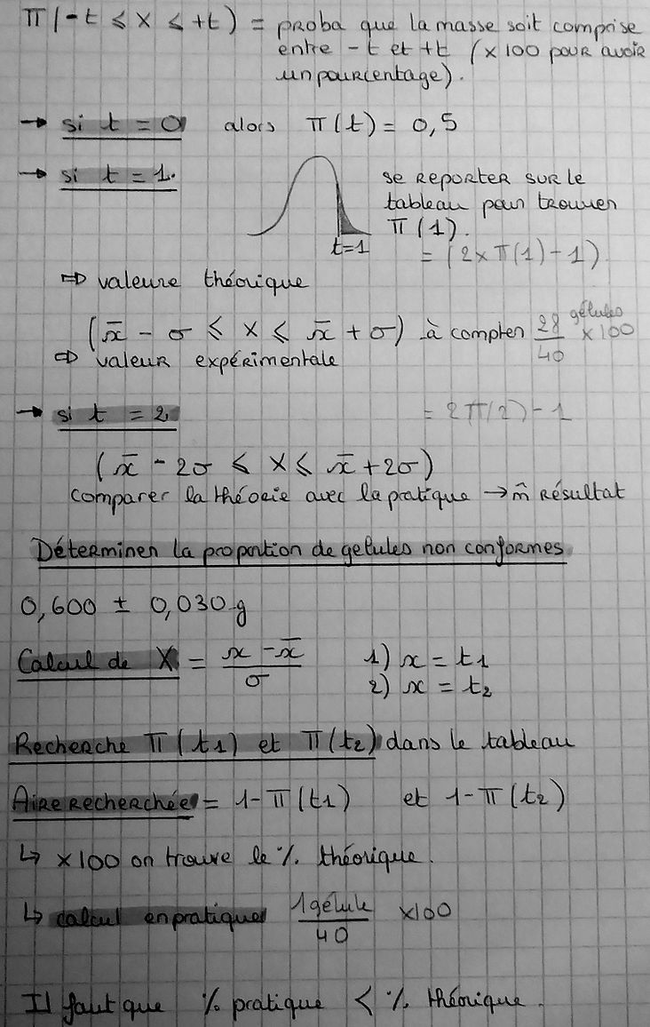 P1010088.JPG