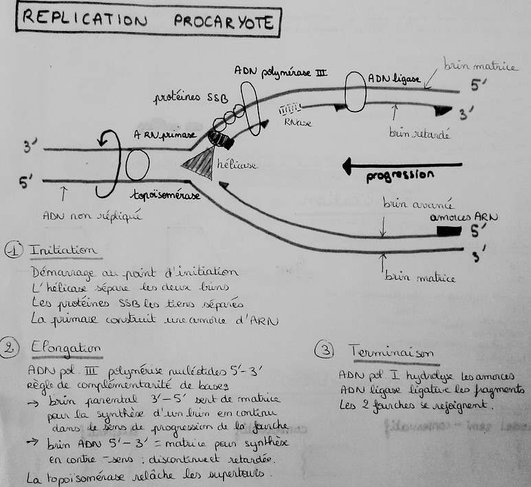 P1060646.JPG