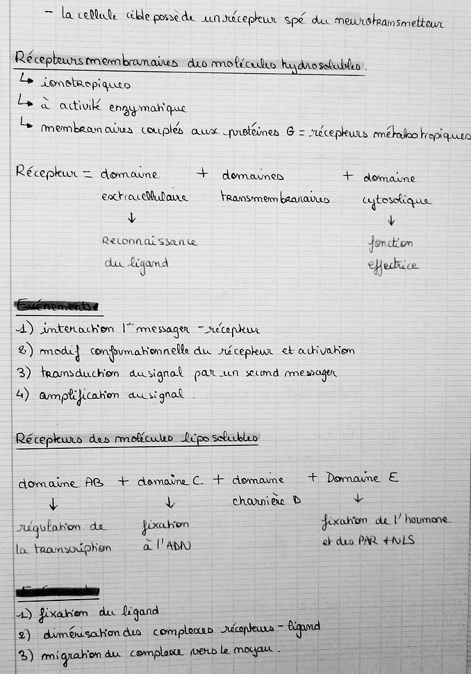 P1060680.JPG