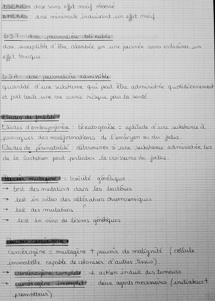 P1060666.JPG