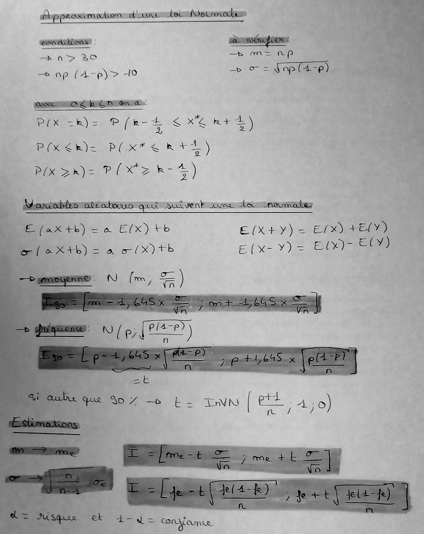 P1010212.JPG