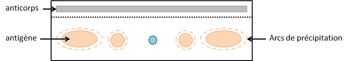 vyul.png