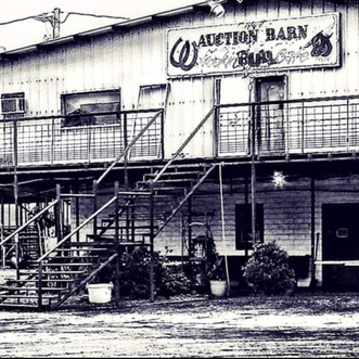 Kirbyville Auction Barn Market Report