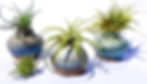 Airplant pots