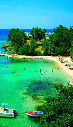 JAMAICA ISLAND