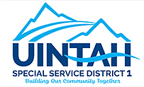 USSD1 logo.png