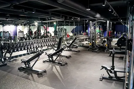 Free Weights