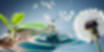 Water drop background image
