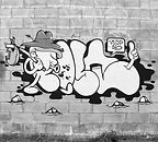 IMG_1959.jpeg