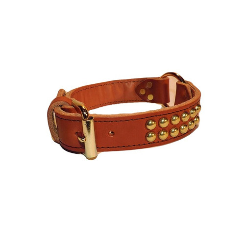 Premium Leather Dog Collar with Brass Spots | Stone Creek