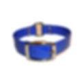Thumbnail: Dayglo Dog Collar With Center Ring 1 Inch Wide