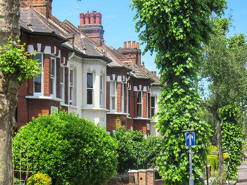 Row of terraced housing surrounded by mature trees in Chiswick, a leafy affluent district