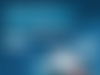 WordPress Development Company in India | WordPress Plugin Development Services