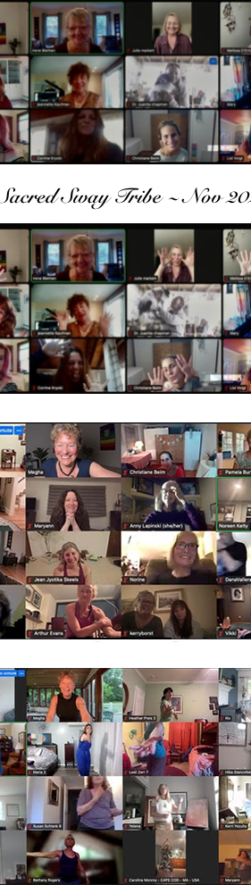 online zoom trainings.png