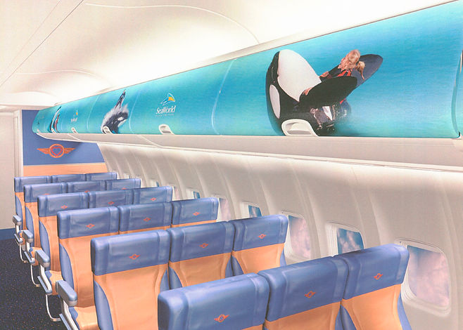 Shamu_Plane.jpg