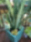 IMG_5966.jpeg