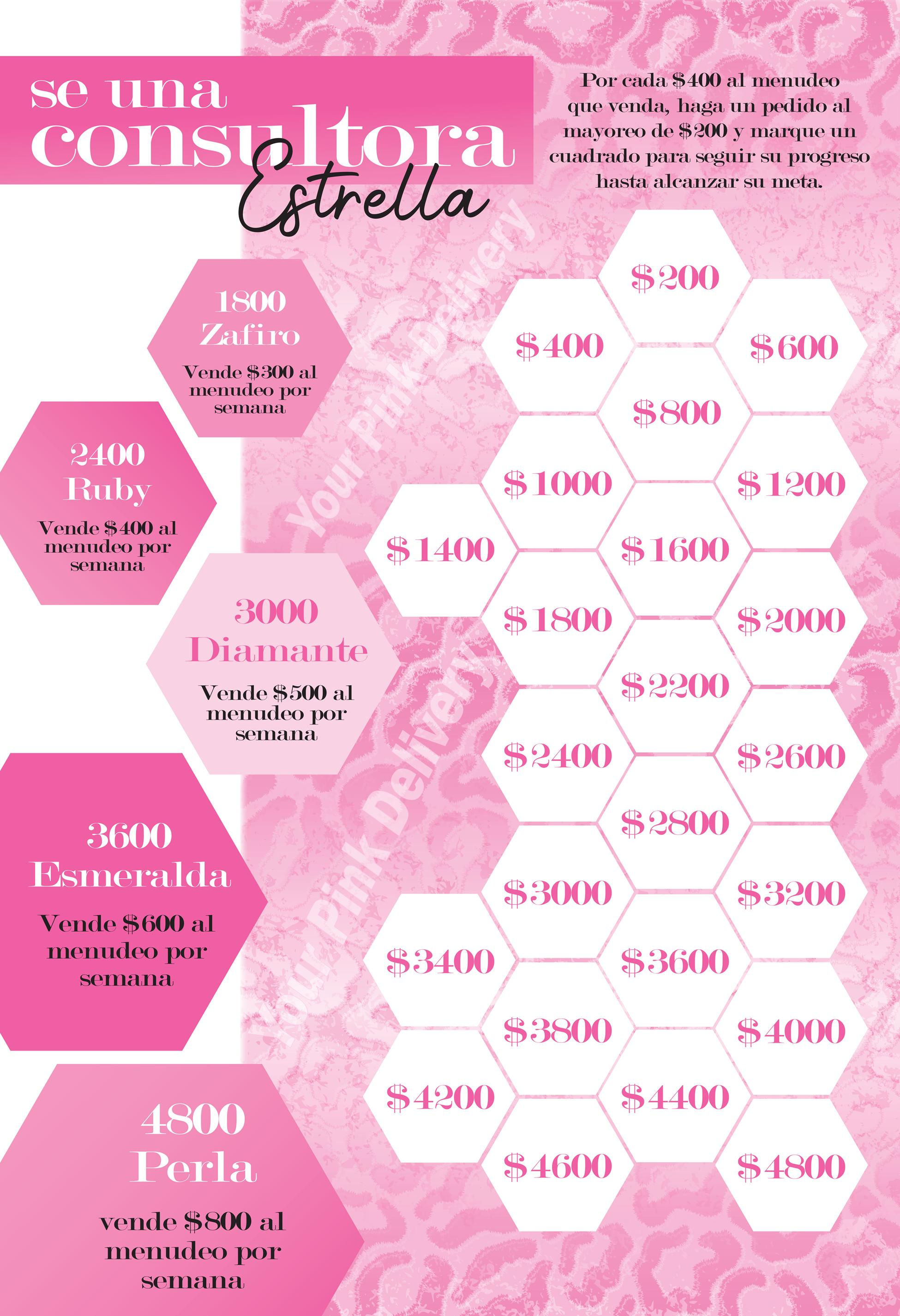 Spanish Poster Be a Star Consultant