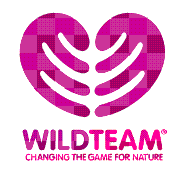 WildTeam logo 0.1.gif