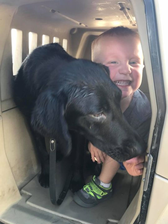 They both "kenneled"