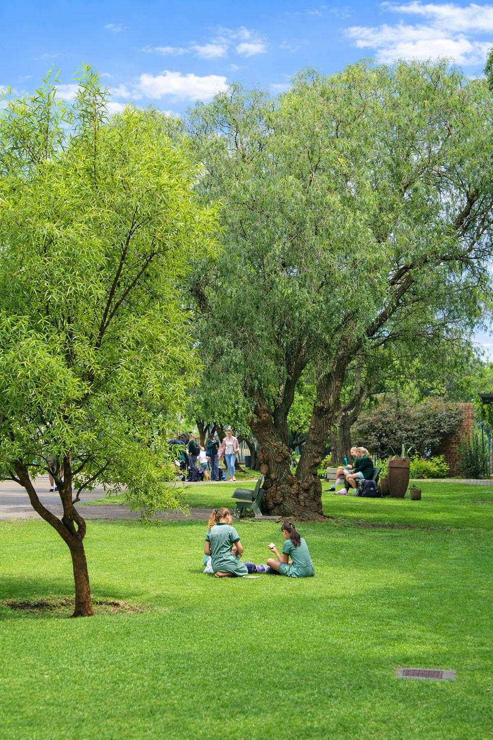 WhatsApp Image 2026-01-31 at 23.35.06.jpeg