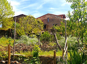 WhatsApp Image 2025-09-10 at 10_edited.jpg