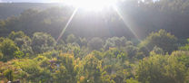 Embracing Permaculture: Sustainable Living in Portugal