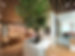 pasted-image-filtered.png
