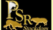 PSR Stockdogs - Trainers