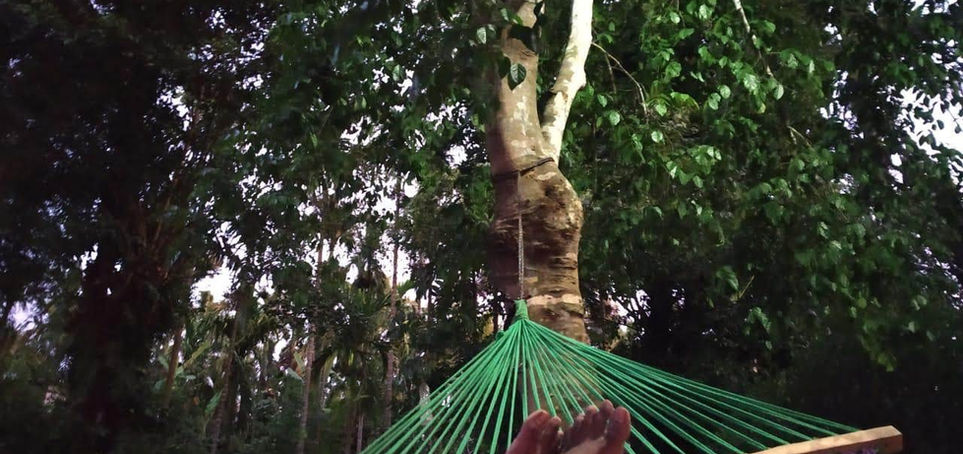 WhatsApp Image 2023-07-16 at 4.38.50 PM.jpeg