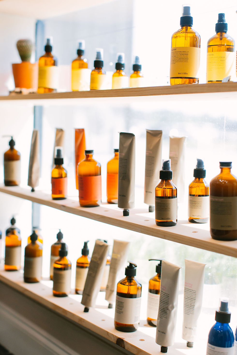 Sustainable salon products in a window at Danielle Louise Hair, symbolizing clean, consistent care and modern beauty in East Tennessee.