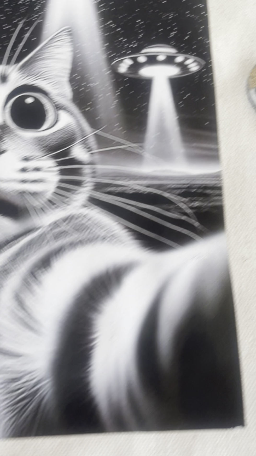 Miniature : SPACE CAT