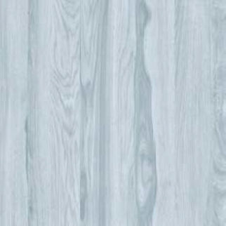 Glazed Porcelain