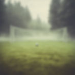 new soccer feild with nets in misty meadows surrounded by forrest.jpg